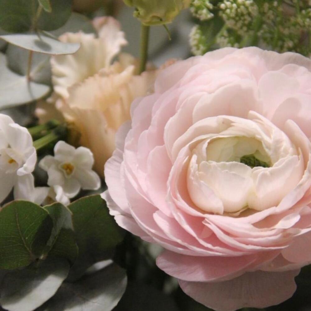 лютикам и ветвями лютикам и ветвями