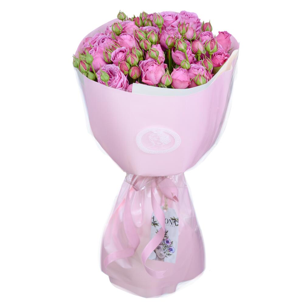 SERENE bush peony roses